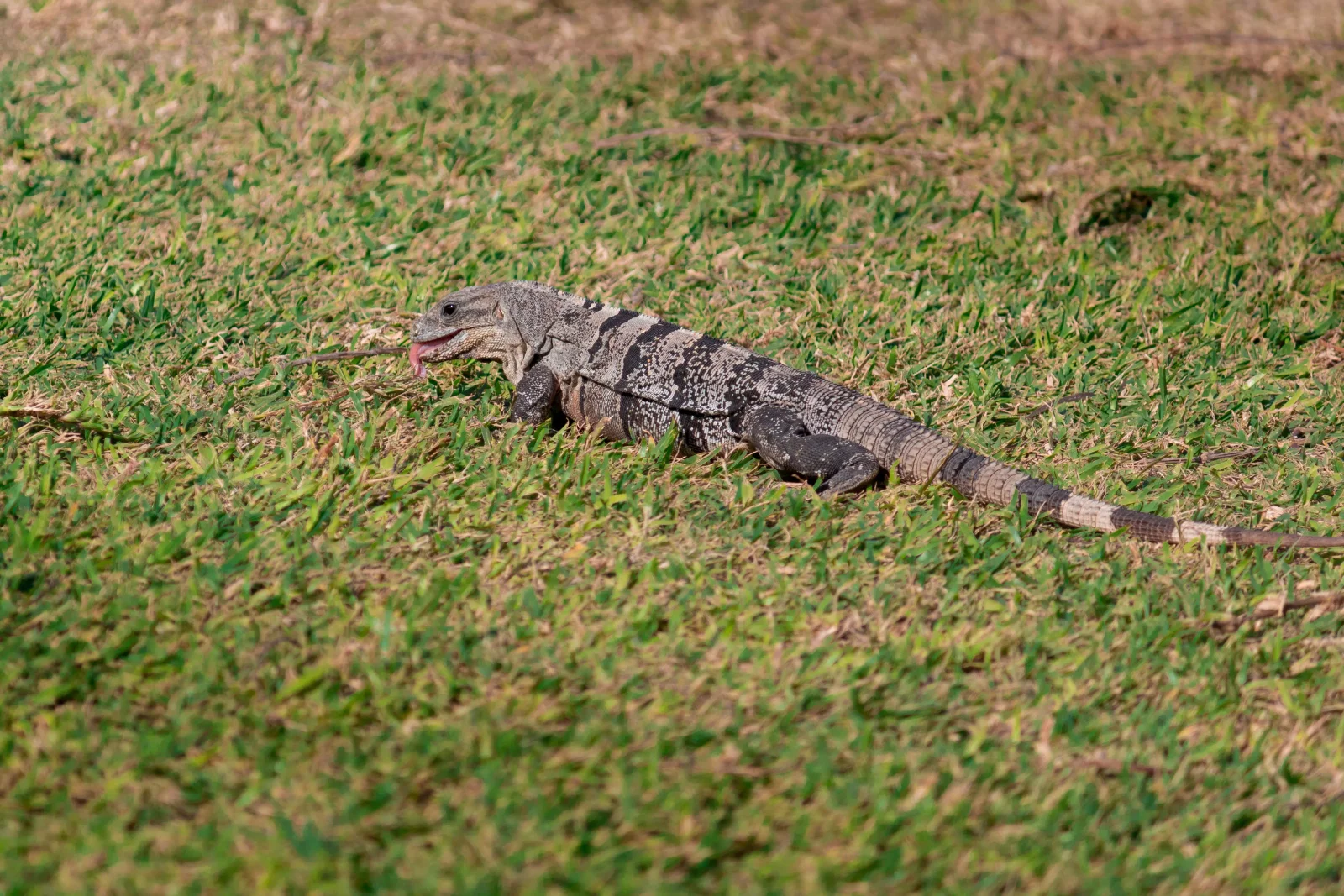 nature photography by JRMGraphy